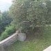 mini-IMG_1409